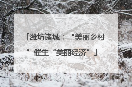 潍坊诸城：“美丽乡村”催生“美丽经济”