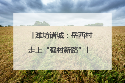 潍坊诸城：岳西村走上“强村新路”