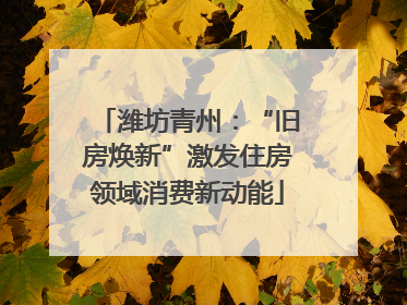 潍坊青州：“旧房焕新”激发住房领域消费新动能