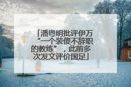 潘粤明批评伊万“一个装傻不辞职的教练”，此前多次发文评价国足