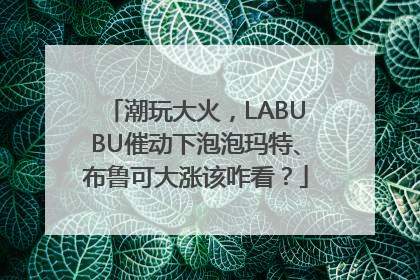 潮玩大火，LABUBU催动下泡泡玛特、布鲁可大涨该咋看？
