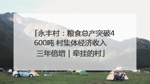 永丰村：粮食总产突破4600吨 村集体经济收入三年倍增｜牵挂的村