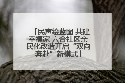 民声绘蓝图 共建幸福家 六合社区亲民化改造开启“双向奔赴”新模式