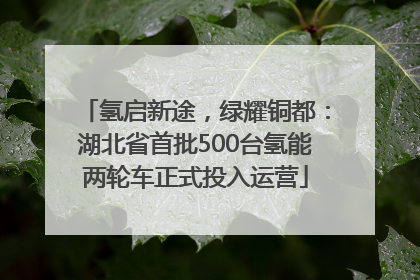 氢启新途，绿耀铜都：湖北省首批500台氢能两轮车正式投入运营