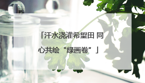 汗水浇灌希望田 同心共绘“绿画卷”