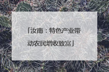 汝南：特色产业带动农民增收致富