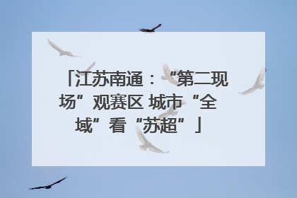 江苏南通：“第二现场”观赛区 城市“全域”看“苏超”