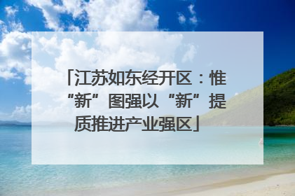 江苏如东经开区：惟“新”图强以“新”提质推进产业强区