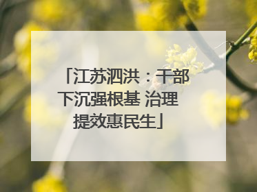江苏泗洪：干部下沉强根基 治理提效惠民生
