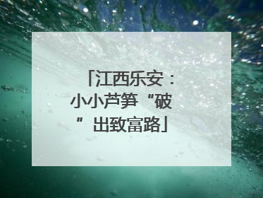 江西乐安：小小芦笋“破”出致富路