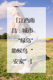 江西南昌：城市“绿岛”助候鸟“安家”