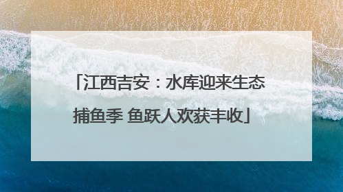 江西吉安：水库迎来生态捕鱼季 鱼跃人欢获丰收