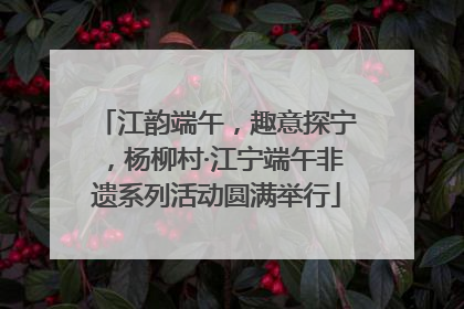 江韵端午，趣意探宁，杨柳村·江宁端午非遗系列活动圆满举行