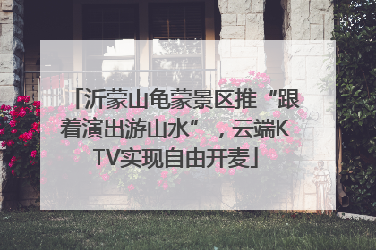 沂蒙山龟蒙景区推“跟着演出游山水”，云端KTV实现自由开麦