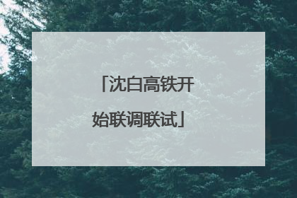 沈白高铁开始联调联试
