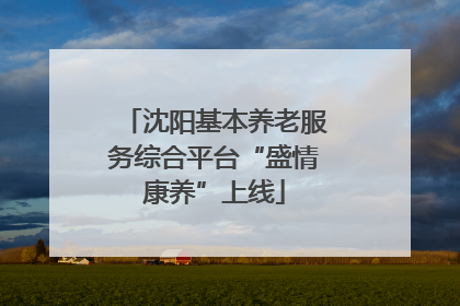 沈阳基本养老服务综合平台“盛情康养”上线