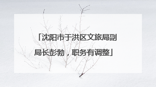 沈阳市于洪区文旅局副局长彭勃，职务有调整