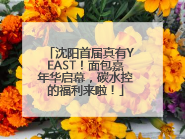 沈阳首届真有YEAST！面包嘉年华启幕，碳水控的福利来啦！