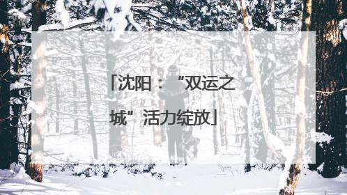 沈阳：“双运之城”活力绽放
