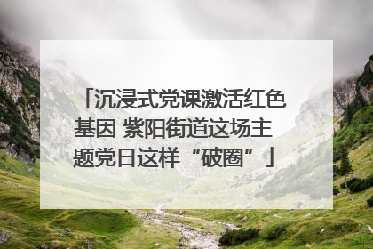 沉浸式党课激活红色基因 紫阳街道这场主题党日这样“破圈”