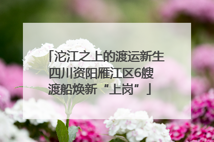 沱江之上的渡运新生 四川资阳雁江区6艘渡船焕新“上岗”
