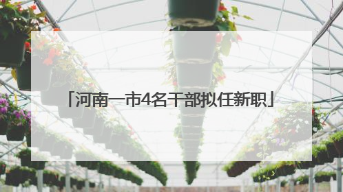 河南一市4名干部拟任新职