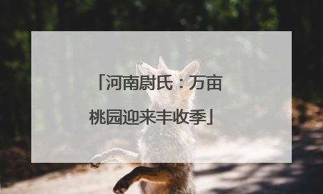 河南尉氏：万亩桃园迎来丰收季