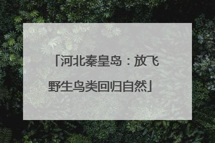 河北秦皇岛：放飞野生鸟类回归自然
