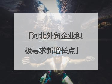 河北外贸企业积极寻求新增长点