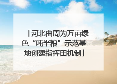 河北曲周为万亩绿色“吨半粮”示范基地创建指挥田机制