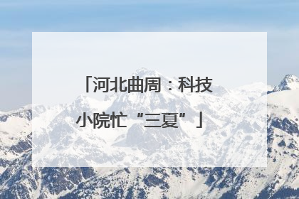 河北曲周：科技小院忙“三夏”