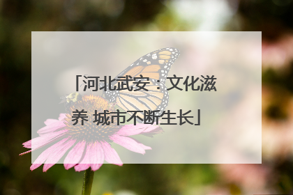 河北武安：文化滋养 城市不断生长