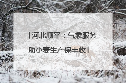 河北顺平：气象服务助小麦生产保丰收