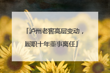 泸州老窖高层变动，履职十年董事离任