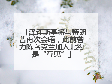泽连斯基将与特朗普再次会晤，此前曾力陈乌克兰加入北约是“互惠”