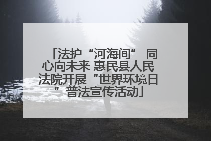 法护“河海间” 同心向未来 惠民县人民法院开展“世界环境日”普法宣传活动