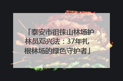 泰安市徂徕山林场护林员邓兴法：37年扎根林场的绿色守护者