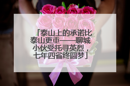 泰山上的承诺比泰山更重——聊城小伙受托寻英烈，七年四省终圆梦