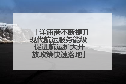 洋浦港不断提升现代航运服务能级 促进航运扩大开放政策快速落地