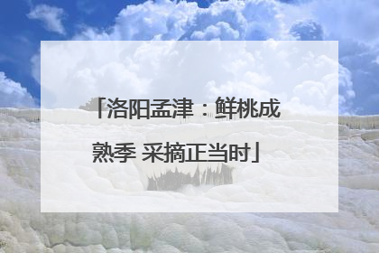 洛阳孟津：鲜桃成熟季 采摘正当时
