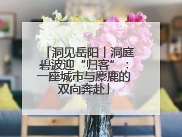 洞见岳阳丨洞庭碧波迎“归客”：一座城市与麋鹿的双向奔赴