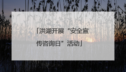 洪湖开展“安全宣传咨询日”活动