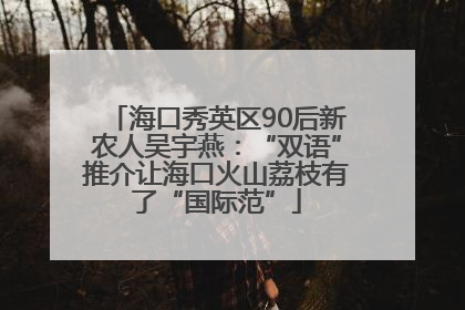 海口秀英区90后新农人吴宇燕：“双语”推介让海口火山荔枝有了“国际范”