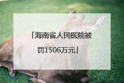 海南省人民医院被罚1506万元