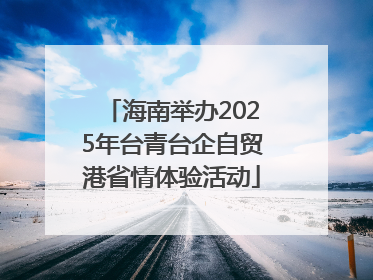 海南举办2025年台青台企自贸港省情体验活动