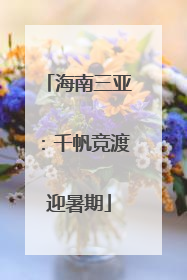 海南三亚：千帆竞渡迎暑期
