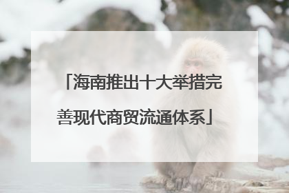 海南推出十大举措完善现代商贸流通体系