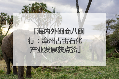 海内外闽商八闽行：漳州古雷石化产业发展获点赞