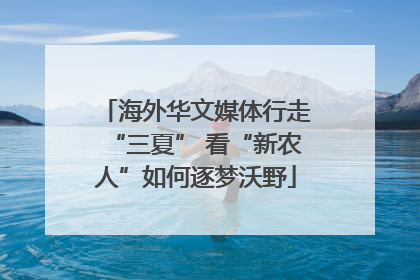 海外华文媒体行走“三夏” 看“新农人”如何逐梦沃野