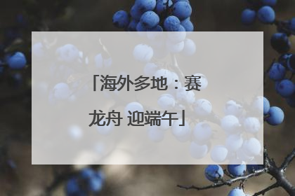 海外多地：赛龙舟 迎端午